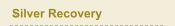 Silver Recovery